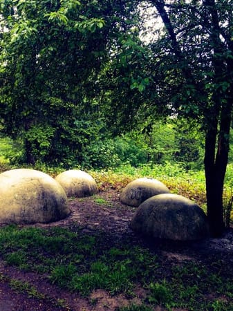 Sofia's hidden treasure - The South Park: photo 7
