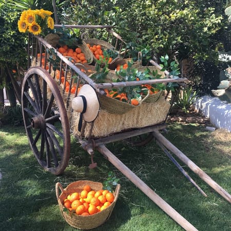 A Guide to Atzaro Spring Festival in Ibiza, Spain: photo 3