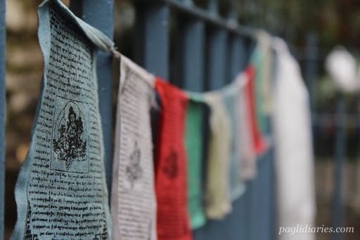 India, Sikkim: The Monastery Trail: photo 14