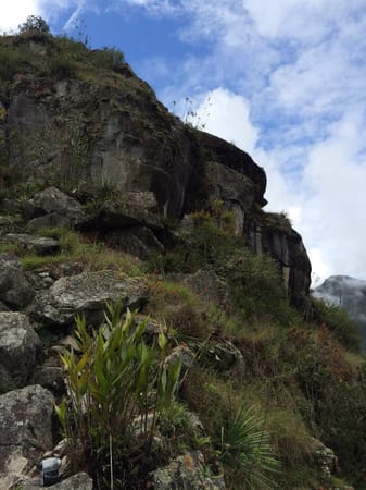 Visit  Machu Picchu-Wonder of the World: photo 17