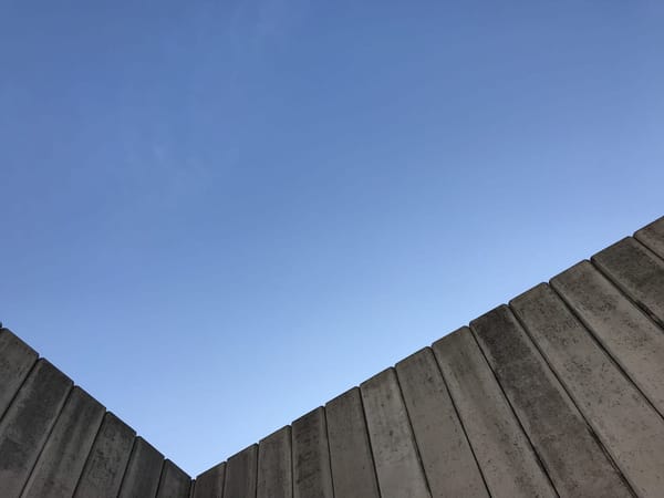 Downtown Dallas - An Experience To Remember: photo 1
