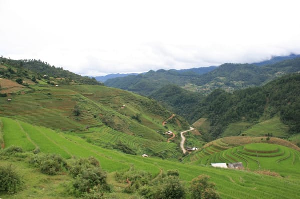 The Valley Verdure of Mù Cang Chải: photo 3