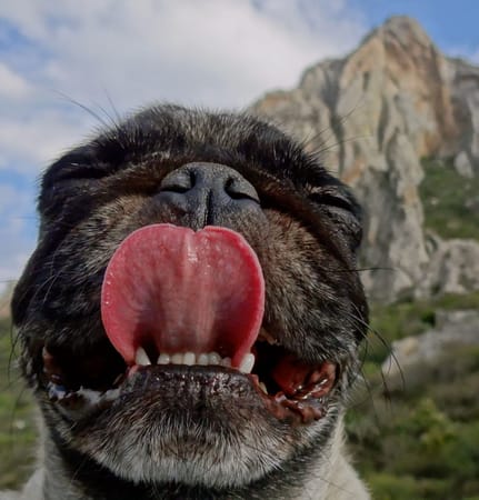 Mexico, Peña de Bernal, The Biggest Monolith on Earth: photo 5