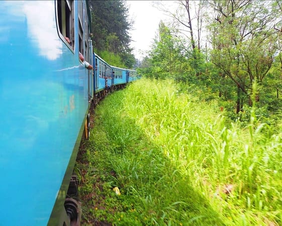 Perfect 9 Days Itinerary in Sri Lanka + backpacker advice: photo 4
