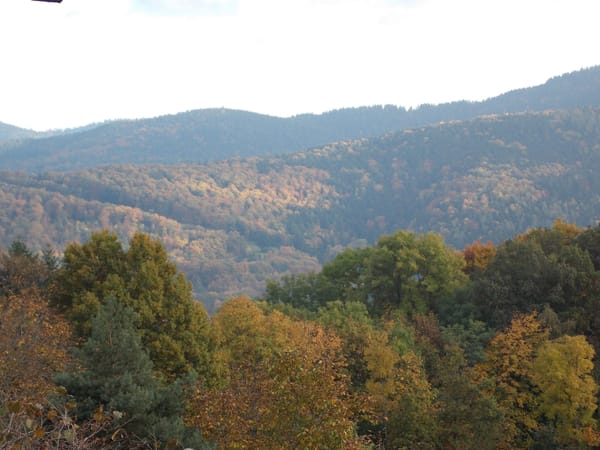 A visual journey of the French countryside: Valley of Munster: photo 7