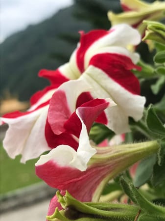 A wanderer’s guide on a Road Trip to Tawang: photo 2