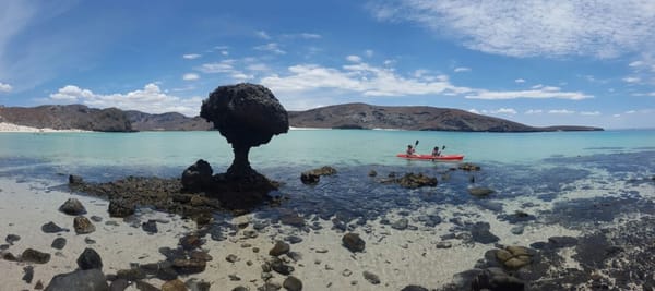Baja California Sur: a Paradise to live in: photo 5