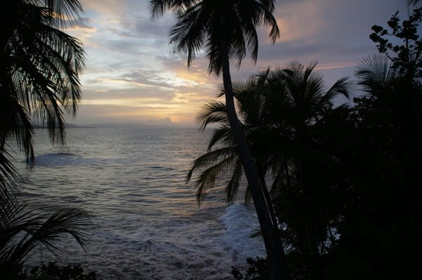 Face to face with amazing wildlife in Costa Rica’s jungle: photo 7