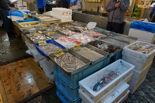 3 Days in Tokyo, Japan: A Travel Blog: photo 3