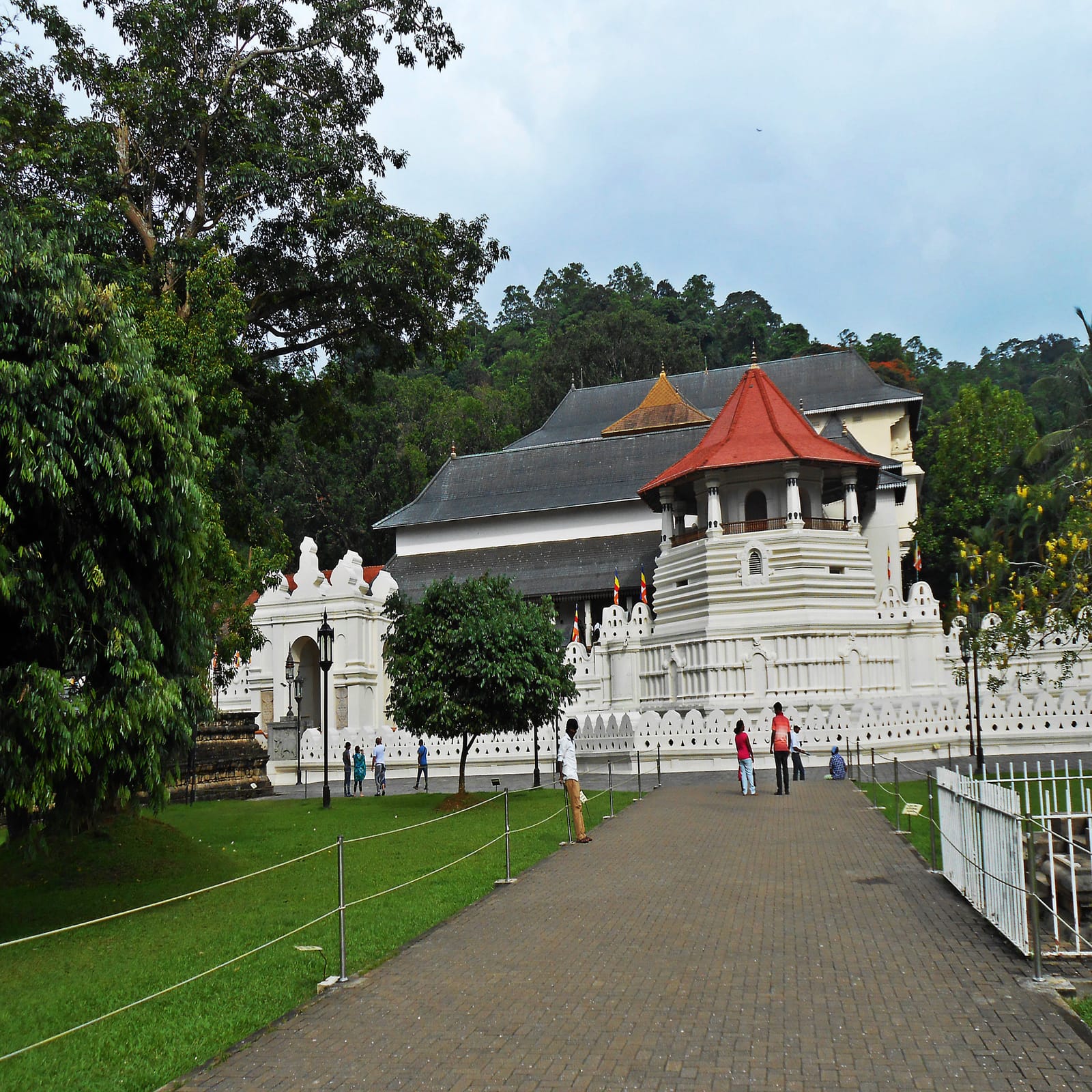 ''Discovering Sri Lanka with elephants, whales, pineapples and tuk tuk''