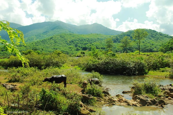 Pu Luong Retreat – A true off-the-beaten-path experience in Vietnam: photo 9