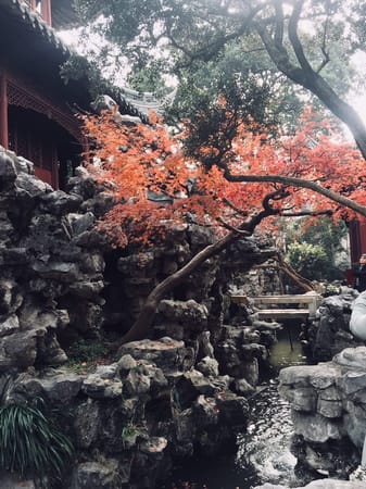 China | Shanghai | The Yuyuan Garden: photo 1