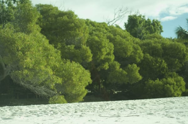 The hidden gem of Australia-Hamilton Island: photo 3