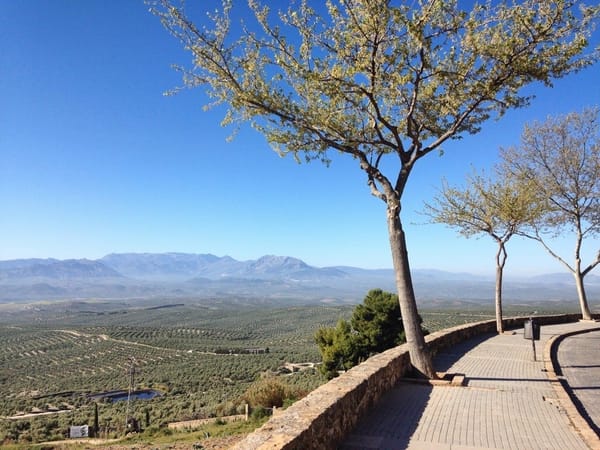 Visit Jaén: Andalusia’s Hidden Gem: photo 4