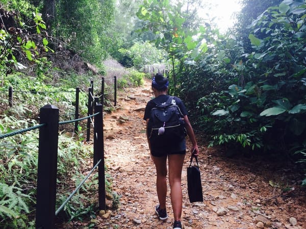 Singapore: Get Closer to Nature: photo 8