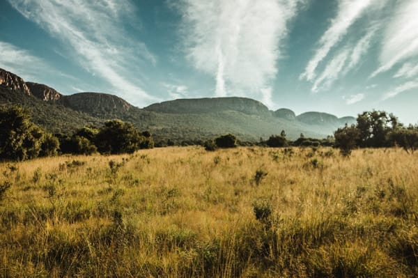 The Karee Trail - A Day Hike in the Magaliesburg, South Africa: photo 2