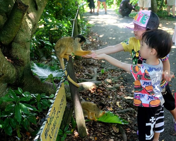 Okinawa Cruising via Costa Victoria: photo 6
