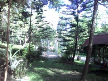 Paradise Ranch: Conservation Park in Clark Pampanga, Philippines: photo 20
