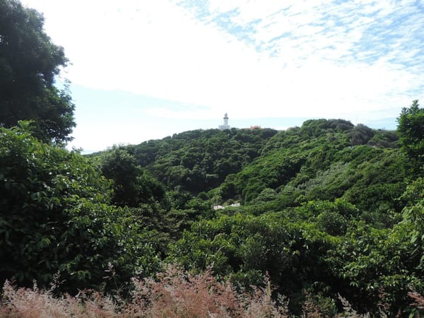 Byron Bay Lighthouse - More than a light on a rock: photo 2