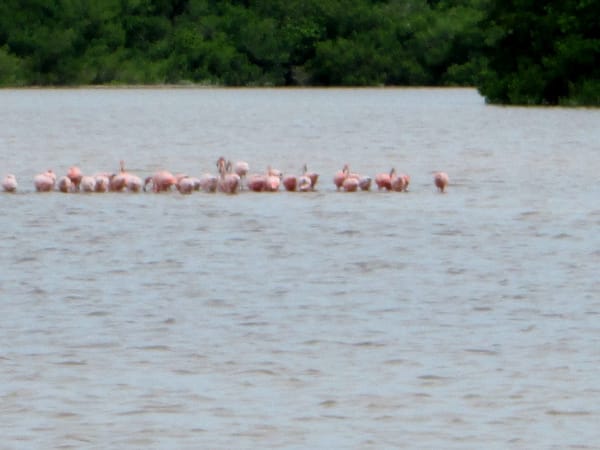 Top 12 Things To Do In And Around Merida: photo 11