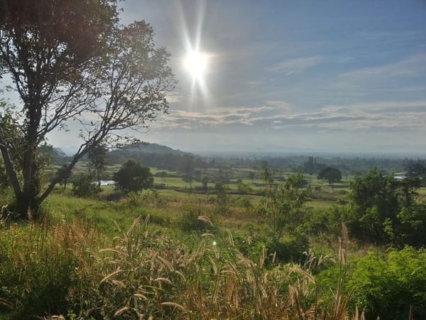 Pak Nam Pran in Thailand  : Hidden Gem for outdoor activity 1: photo 14