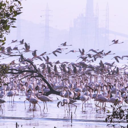 Unexplored Underrated Places of Mumbai: photo 1