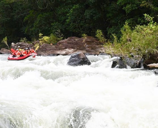 Cairns: top 10 adventure activities for backpackers: photo 2