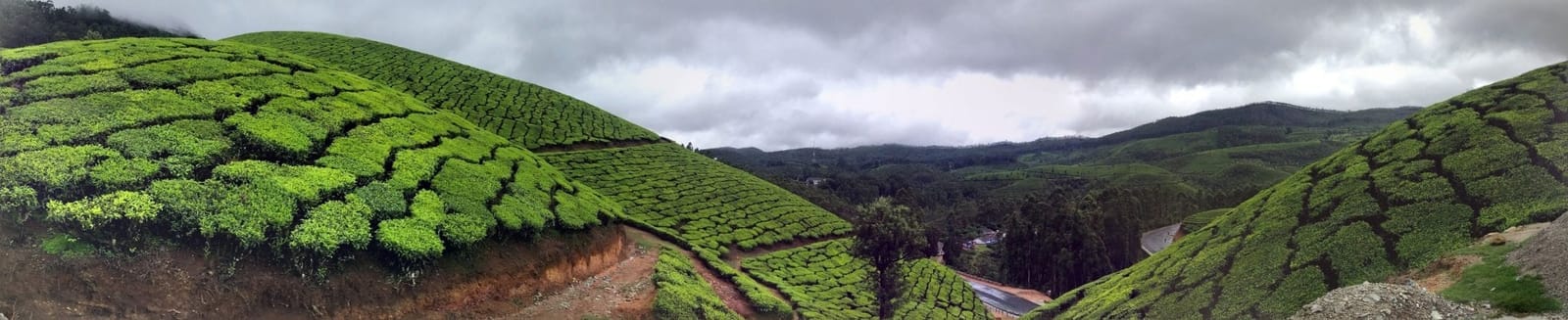 A Trip to Munnar in Kerala India