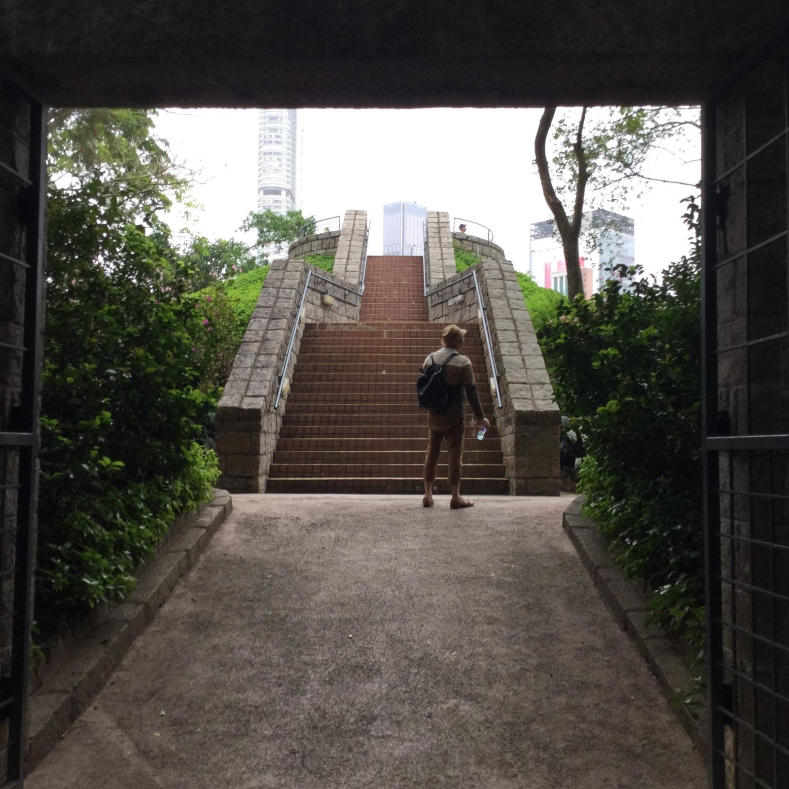 The Charms of Kowloon Park in Hong Kong