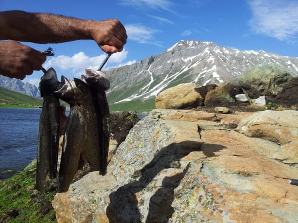 India : The Kashmir Great Lakes Trek: photo 8