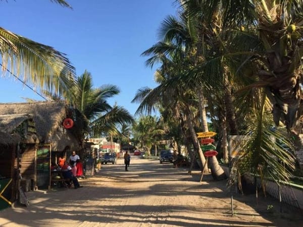 All you need to know about Tofo, Mozambique: photo 1