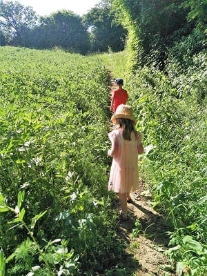 North Norfolk: A postage stamp view; culture, beauty & diversity: photo 27