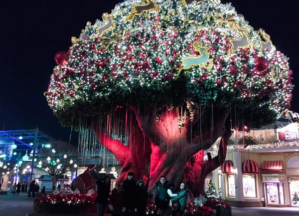 KOREA: Best things to do during winter: photo 1