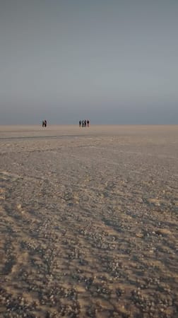 The White Desert : Rann of Kutch: photo 7