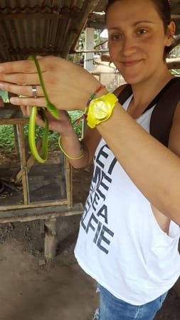 First time in Thailand, 2016/2017: photo 15