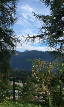 Leysin: Heaven at 1200 meters: photo 1