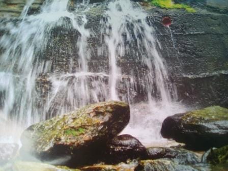 Ikogosi Warm Spring: Attracting The World to Nigeria