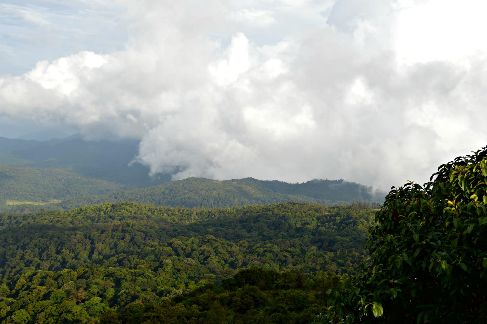 The Scotland of India : Coorg