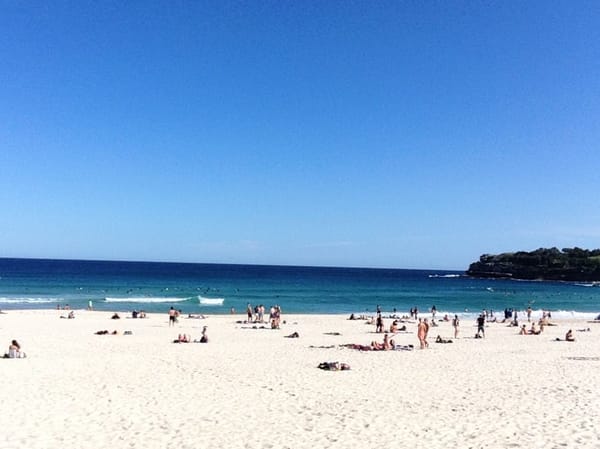 Dreaming in a city called Sydney: photo 3