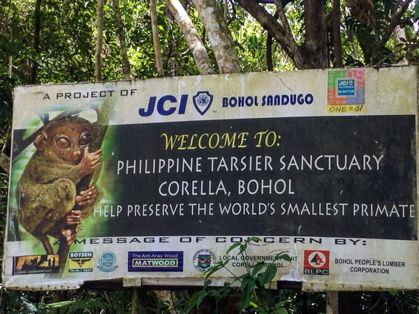Exploring Bohol in 3 Days: photo 5