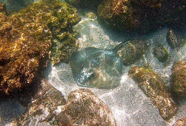 Isla San Cristobal, Galapagos – The full experience for less: photo 5