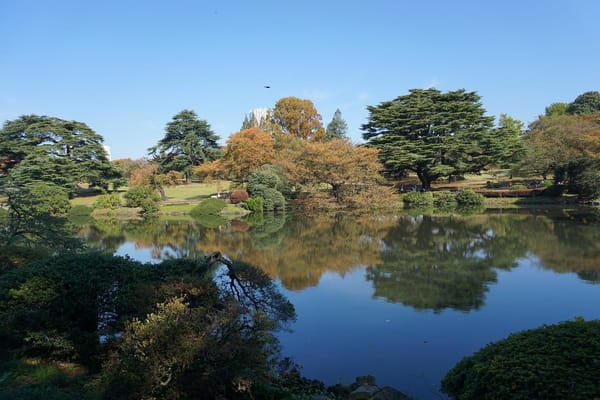 3 Days in Tokyo, Japan: A Travel Blog: photo 12