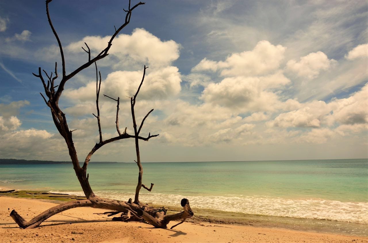 Andaman Islands: Pearls in a sea of blue