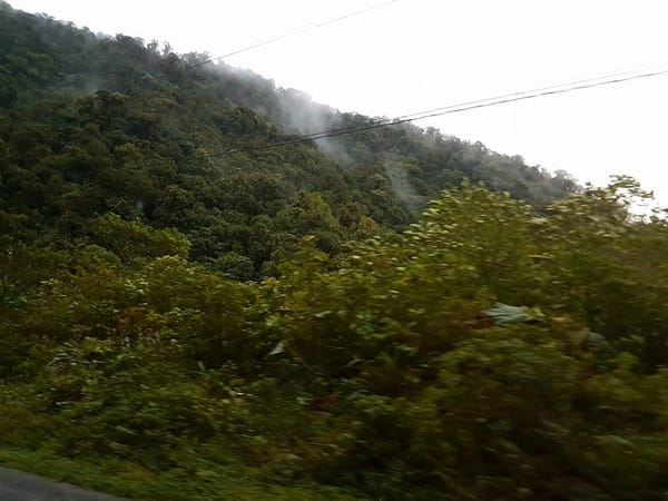 Nine things to know to make the most out of Costa Rica: photo 4