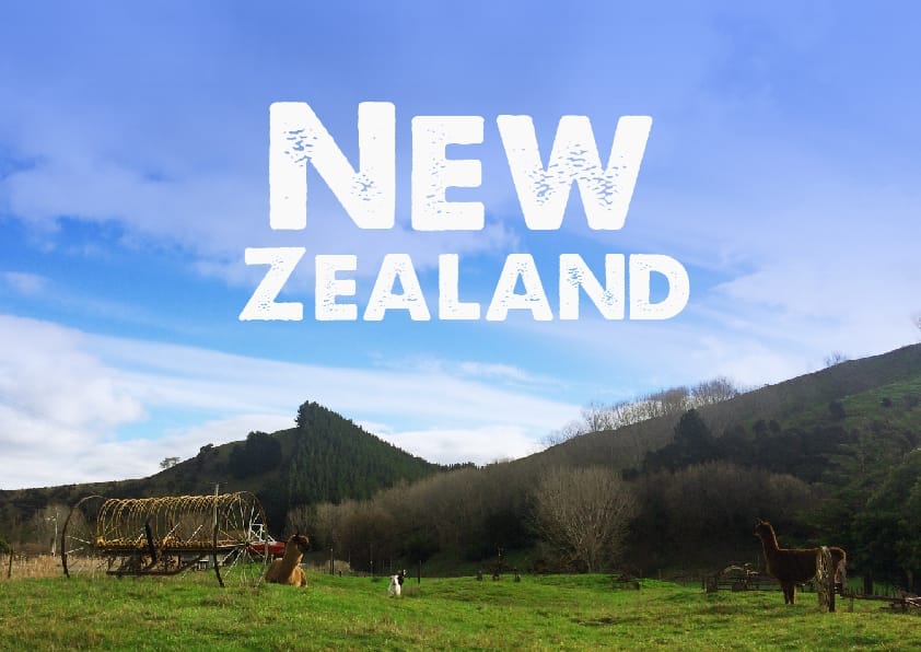Live a year in New Zealand