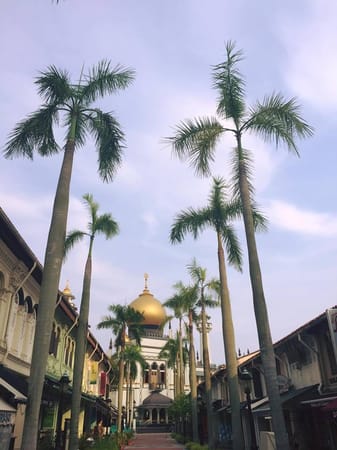 SINGAPORE: A LAYOVER CHALLENGE: photo 4