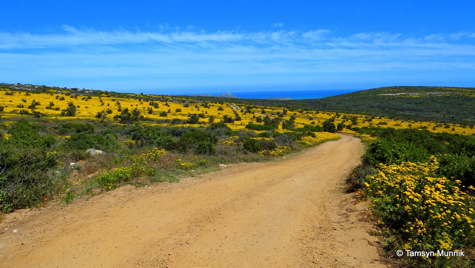 WEST COAST NATIONAL PARK: A GUIDE TO VIEWING THE SPRING FLOWERS FROM CAPE TOWN