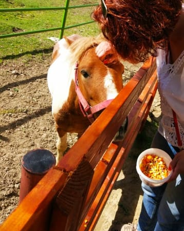 Great locations to visit near Cluj-Napoca, Romania: photo 4