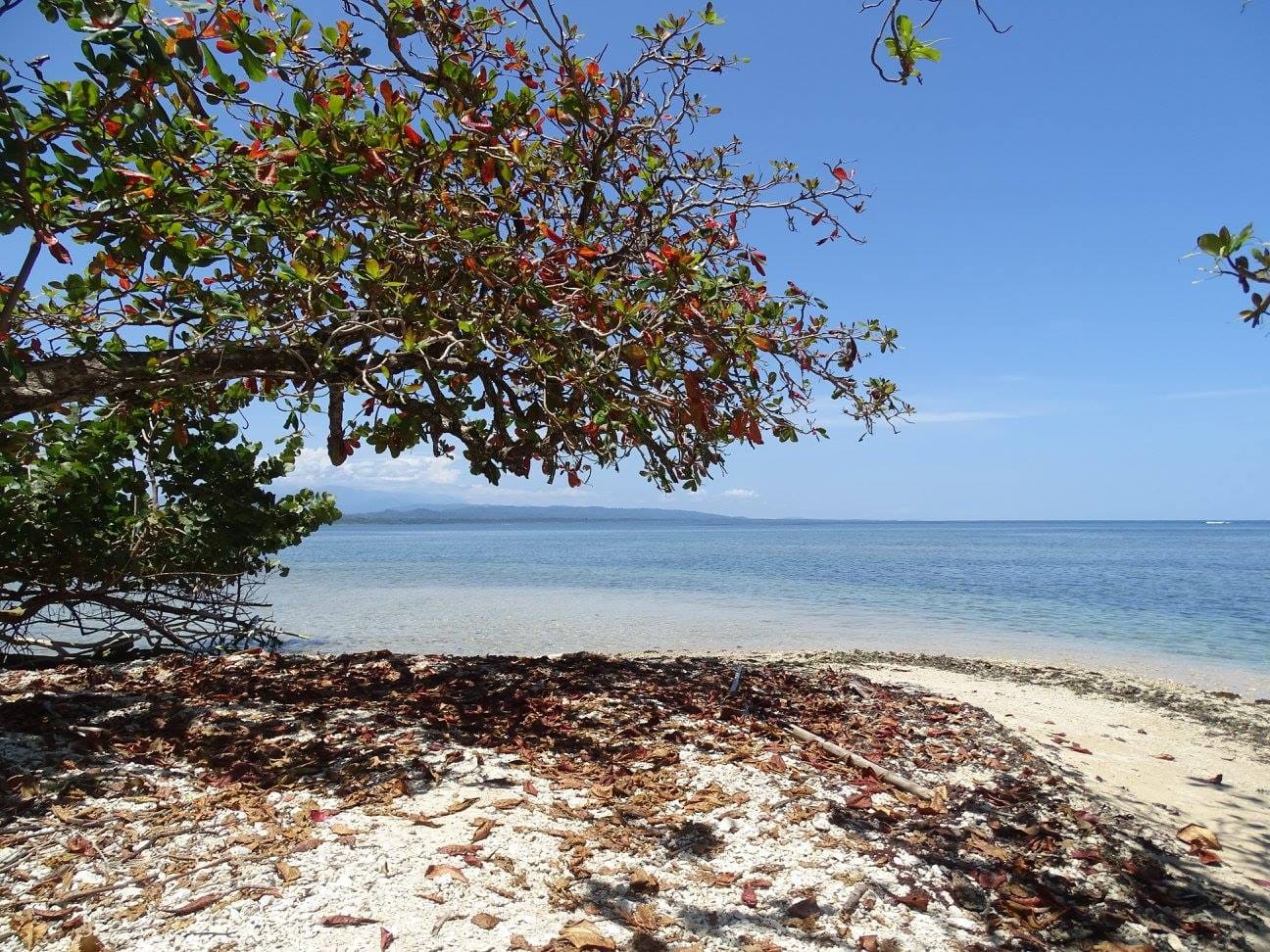 Puerto Viejo, Costa Rica - Relax in this Caribbean Beach Paradise