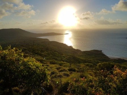 Great Keppel Island Living: photo 4